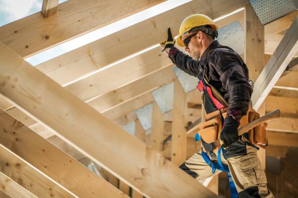 Best Roof Gutter Cleaning  in Trappe, MD