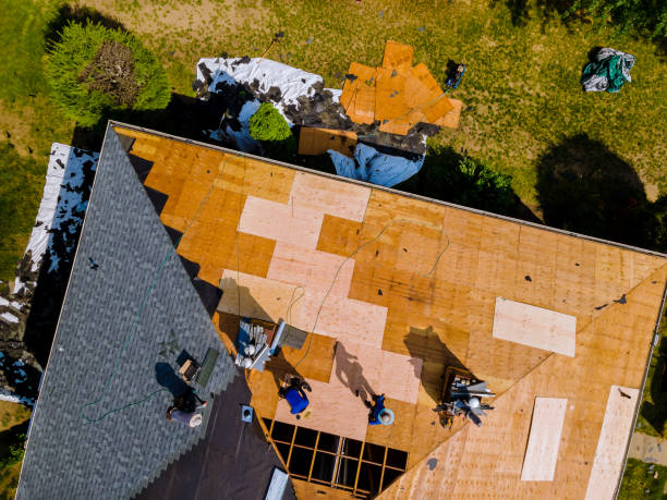 Best Roof Maintenance Services  in Trappe, MD